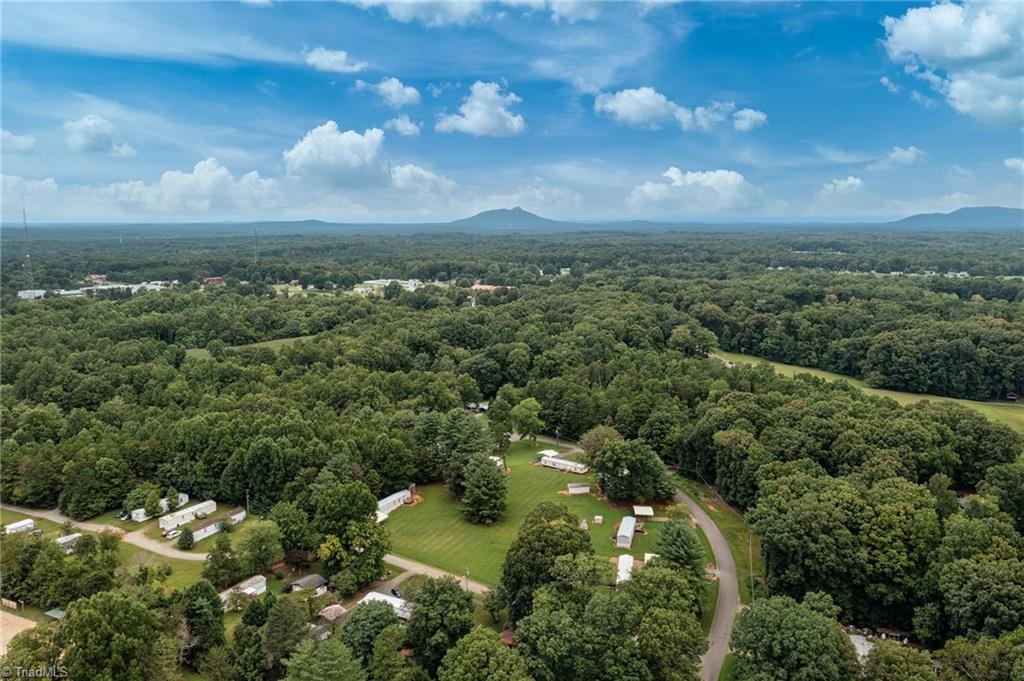 7410 Olin Road Pfafftown, NC 27040 - Photo 22 of 29