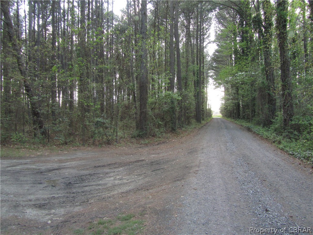 1-2 Felton Road Deltaville, VA 23043 - Photo 8 of 8