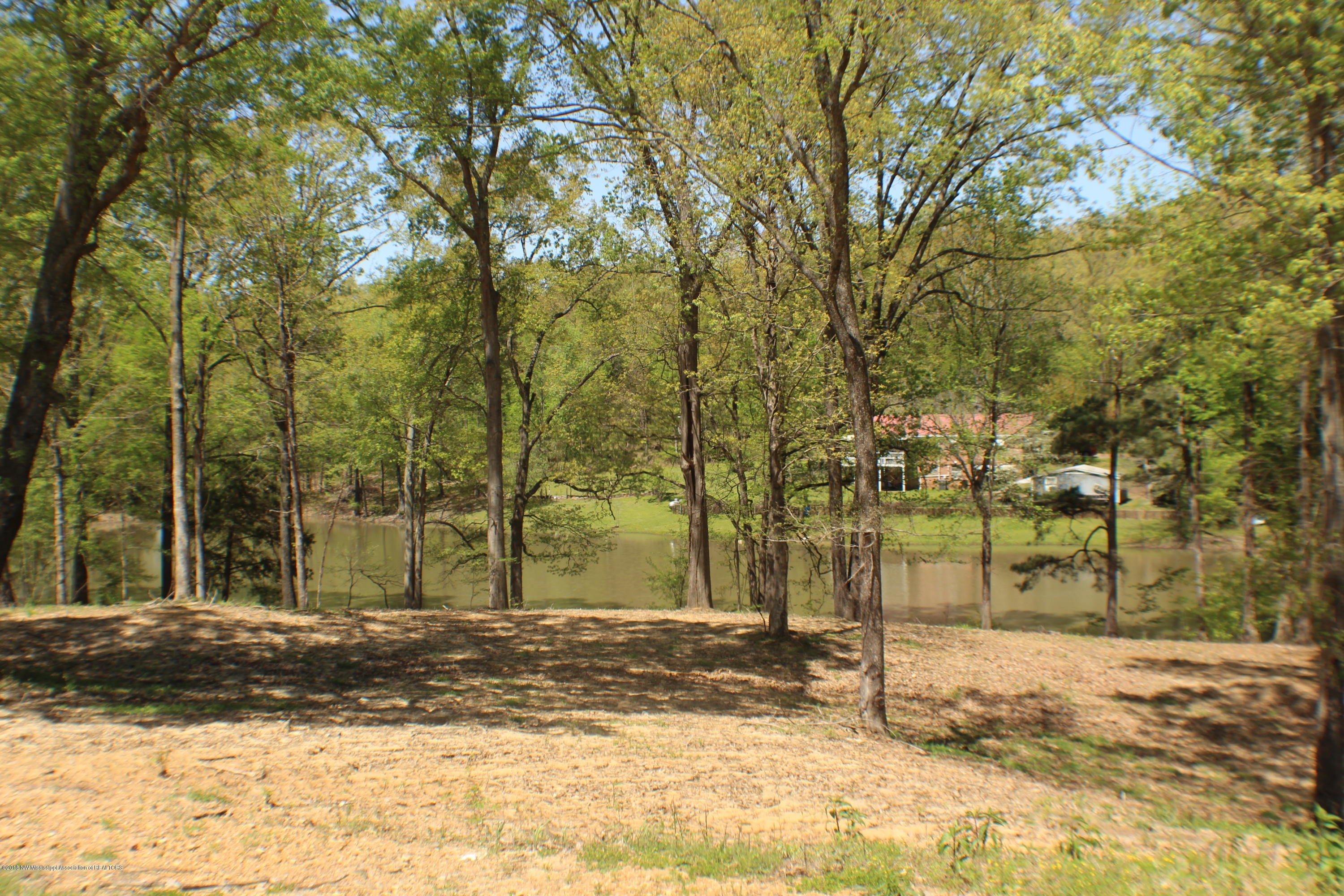 2047 Kelly Crossing Road Coldwater, MS 38618 - Photo 45 of 55 IMG_5104