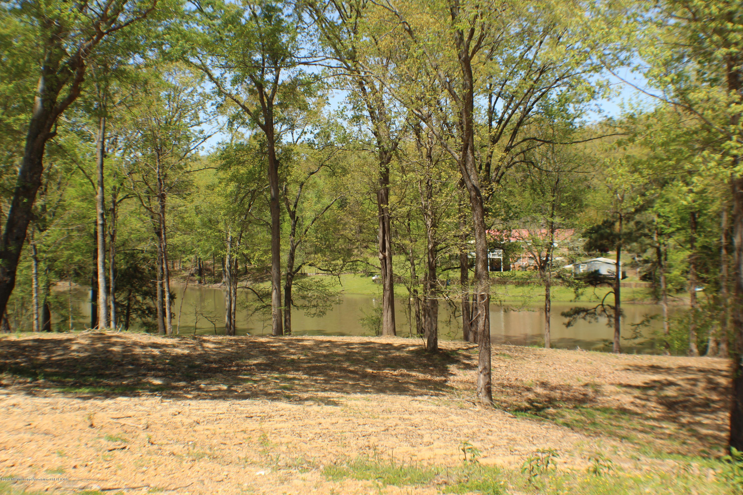 2047 Kelly Crossing Road Coldwater, MS 38618 - Photo 46 of 55 IMG_5105