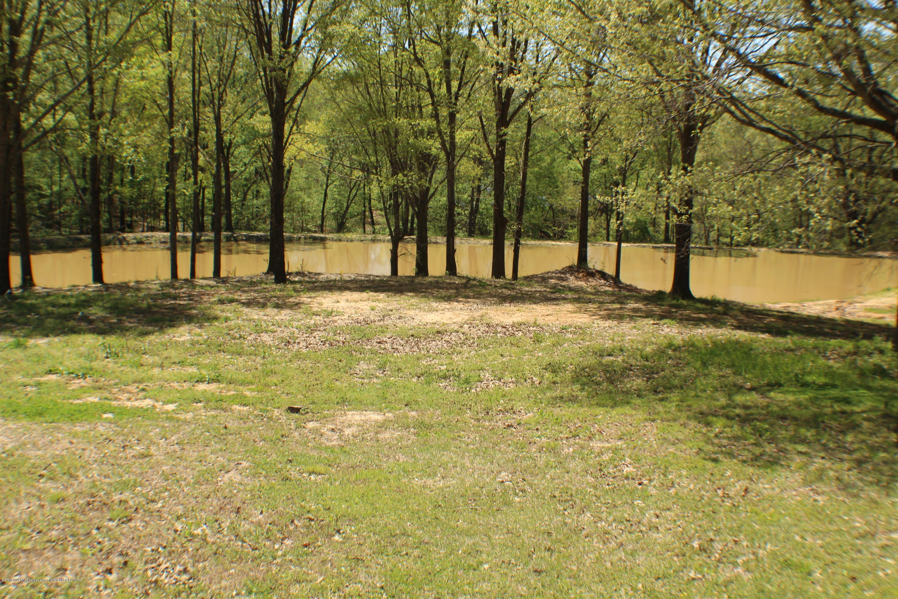 2047 Kelly Crossing Road Coldwater, MS 38618 - Photo 49 of 55 IMG_5108