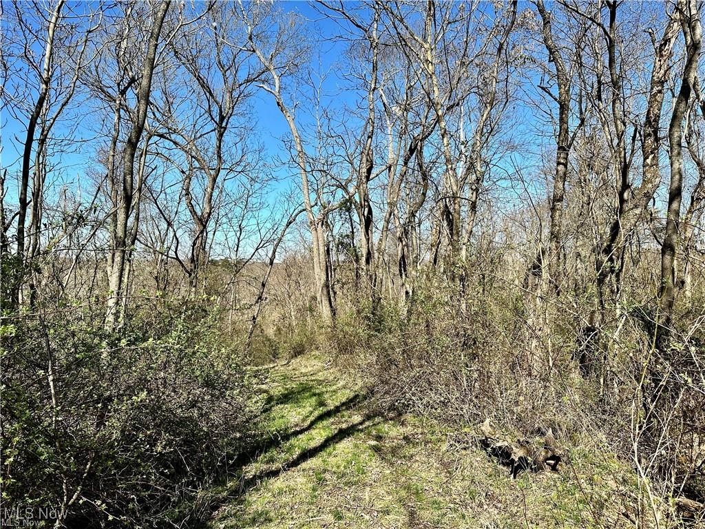 0 Fisher Ridge Road Fleming, OH 45729 - Photo 5 of 8 View of woods