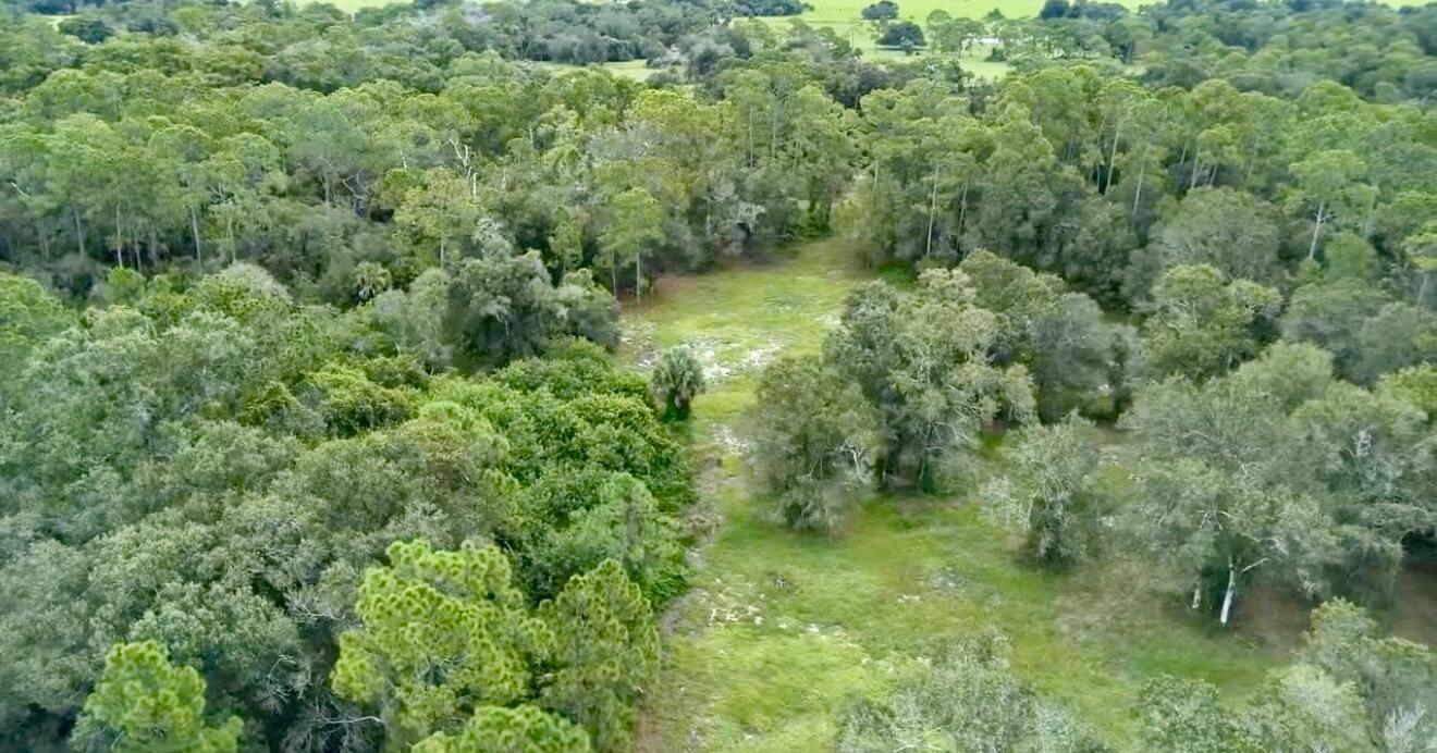 7061 Flaghole Road Clewiston, FL 33440 - Photo 7 of 7 IMG_9033