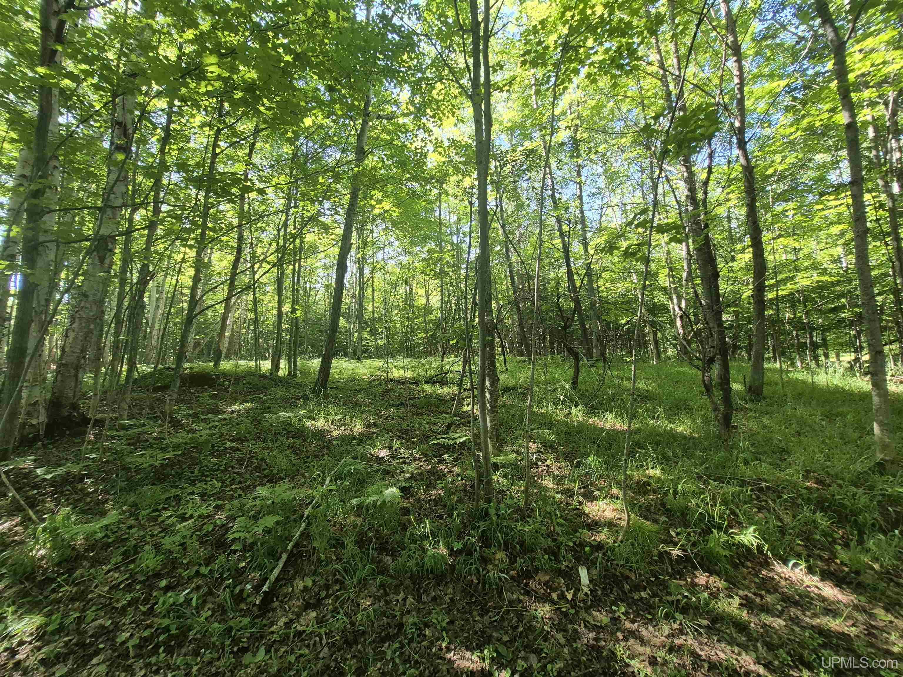8-acres Nestor Road Munising, MI 49862 - Photo 21 of 43