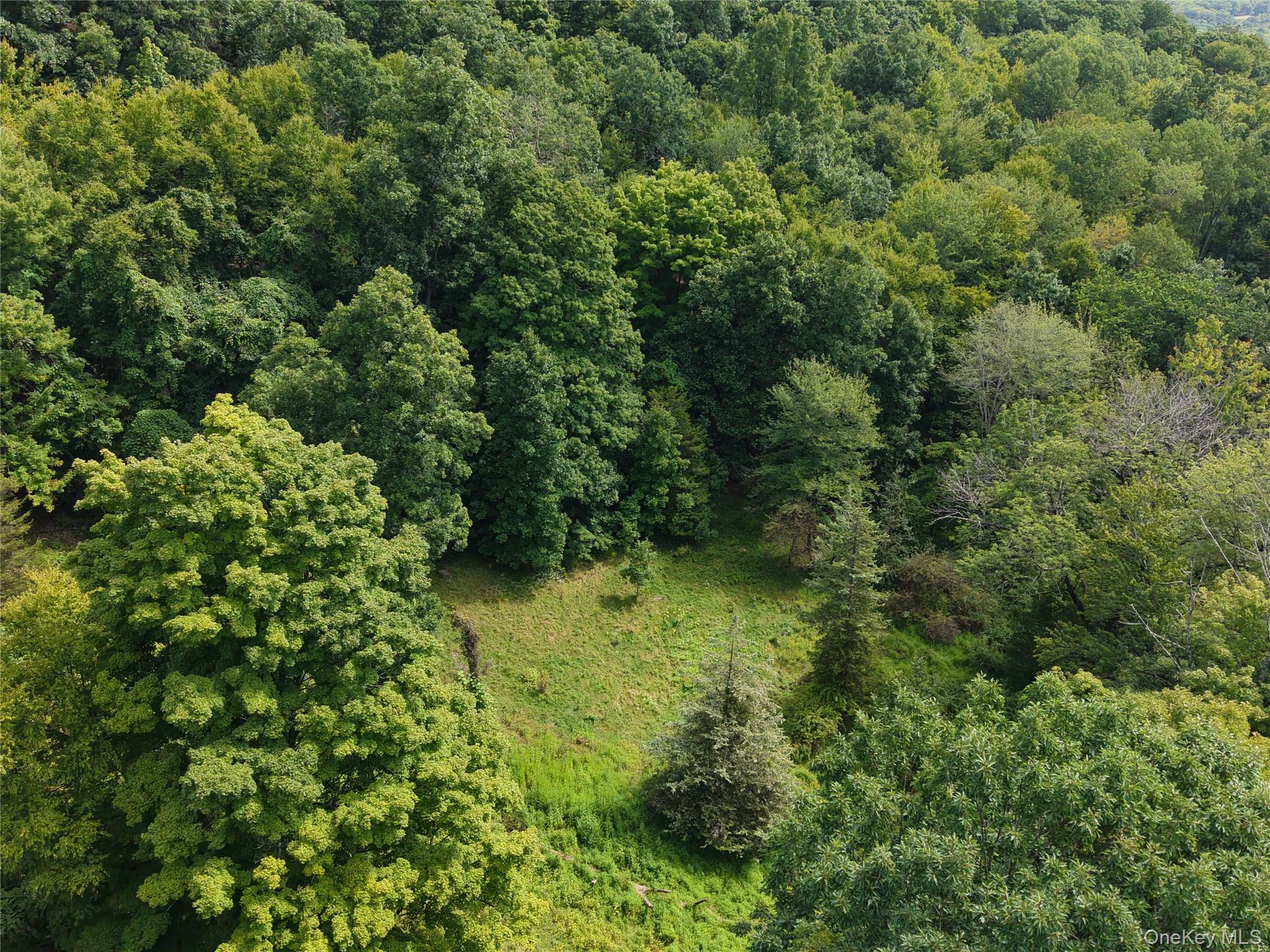 Twinshaven Road Neversink, NY 12765 - Photo 16 of 20 Gallery Image 16