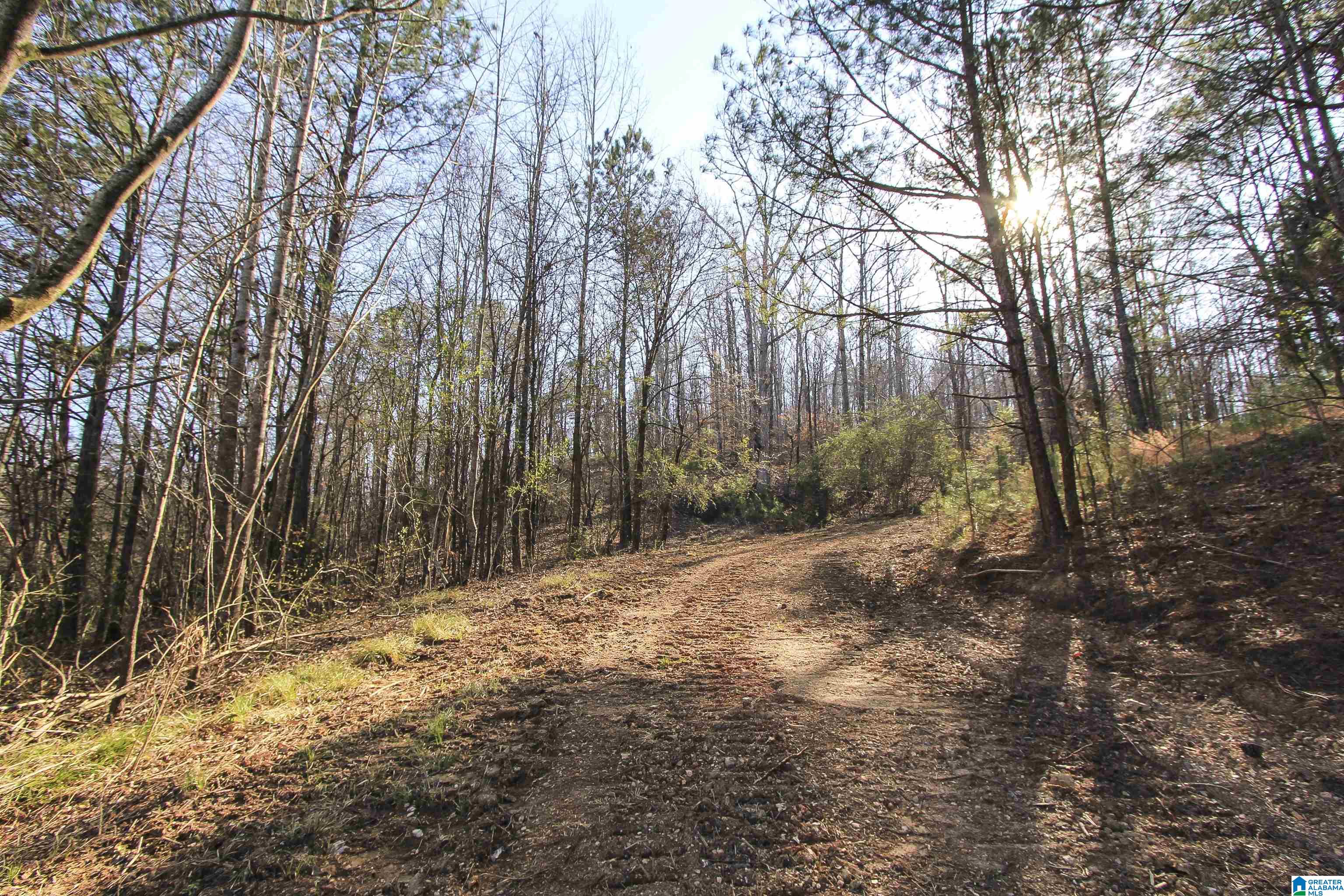 15 Mohawk Trail, Unit 4 AC Ohatchee, AL 36271 - Photo 18 of 28