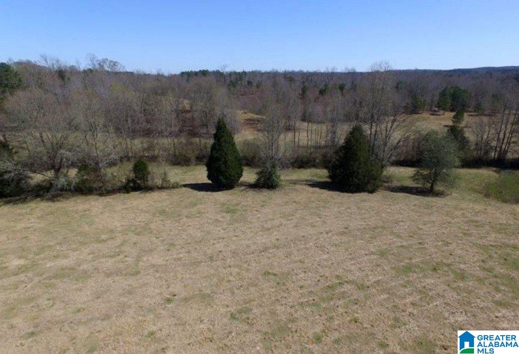 853 Bailey Road Cragford, AL 36255 - Photo 31 of 39