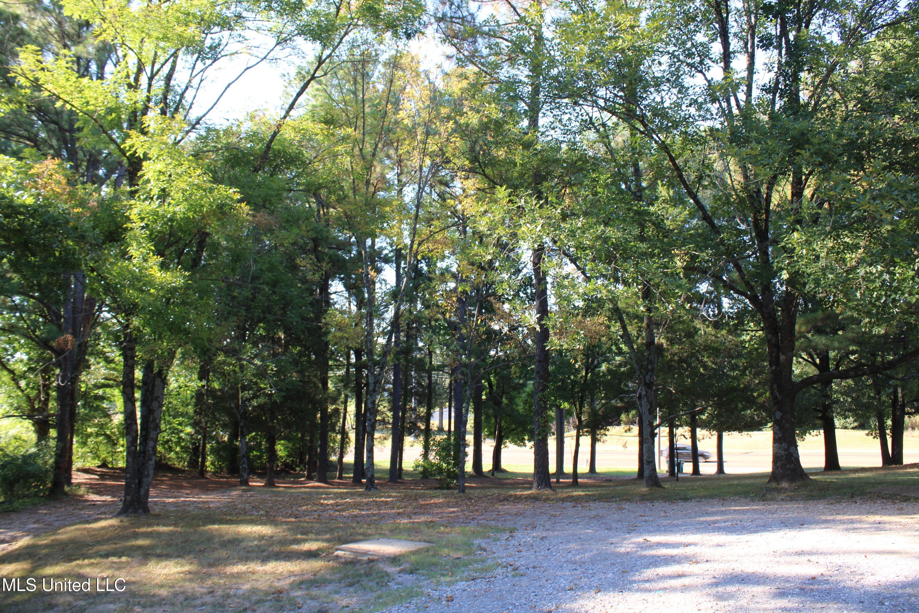 771 Church Road East Southaven, MS 38671 - Photo 15 of 21 IMG_6420