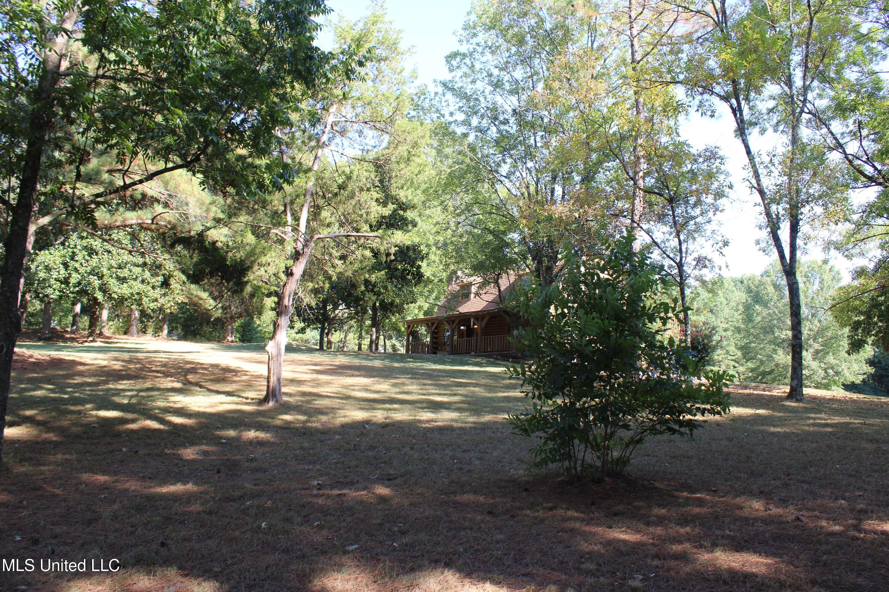 771 Church Road East Southaven, MS 38671 - Photo 18 of 21 IMG_6405