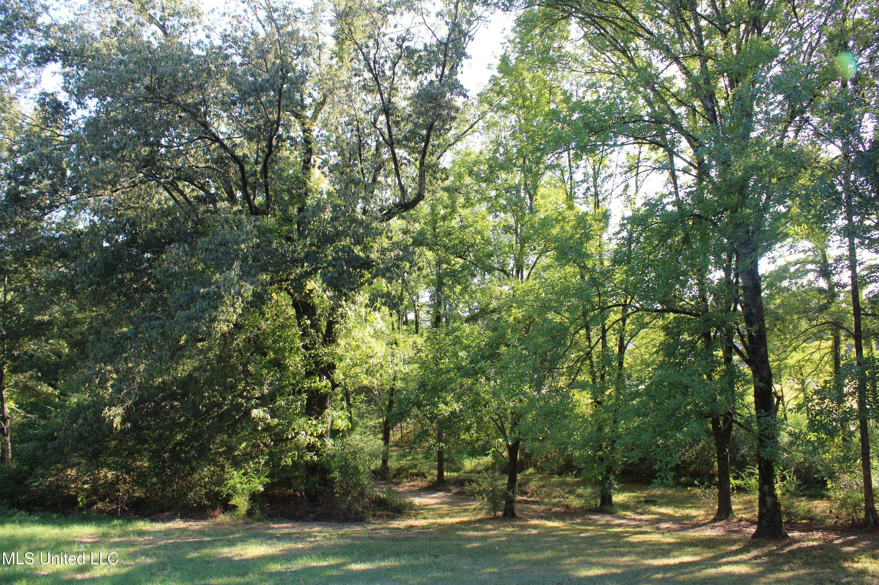 771 Church Road East Southaven, MS 38671 - Photo 20 of 21 IMG_6418