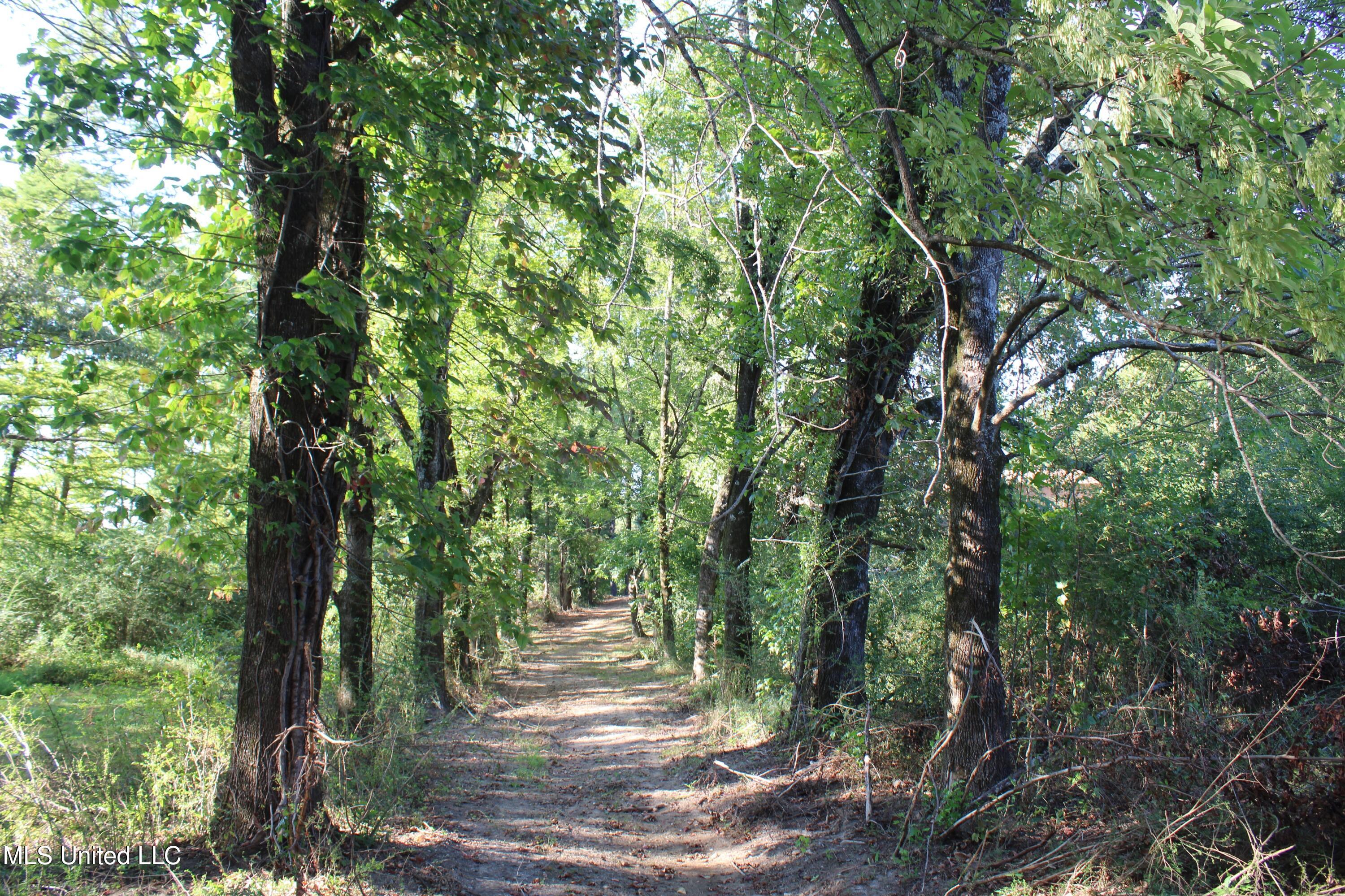 771 Church Road East Southaven, MS 38671 - Photo 21 of 21 IMG_6423