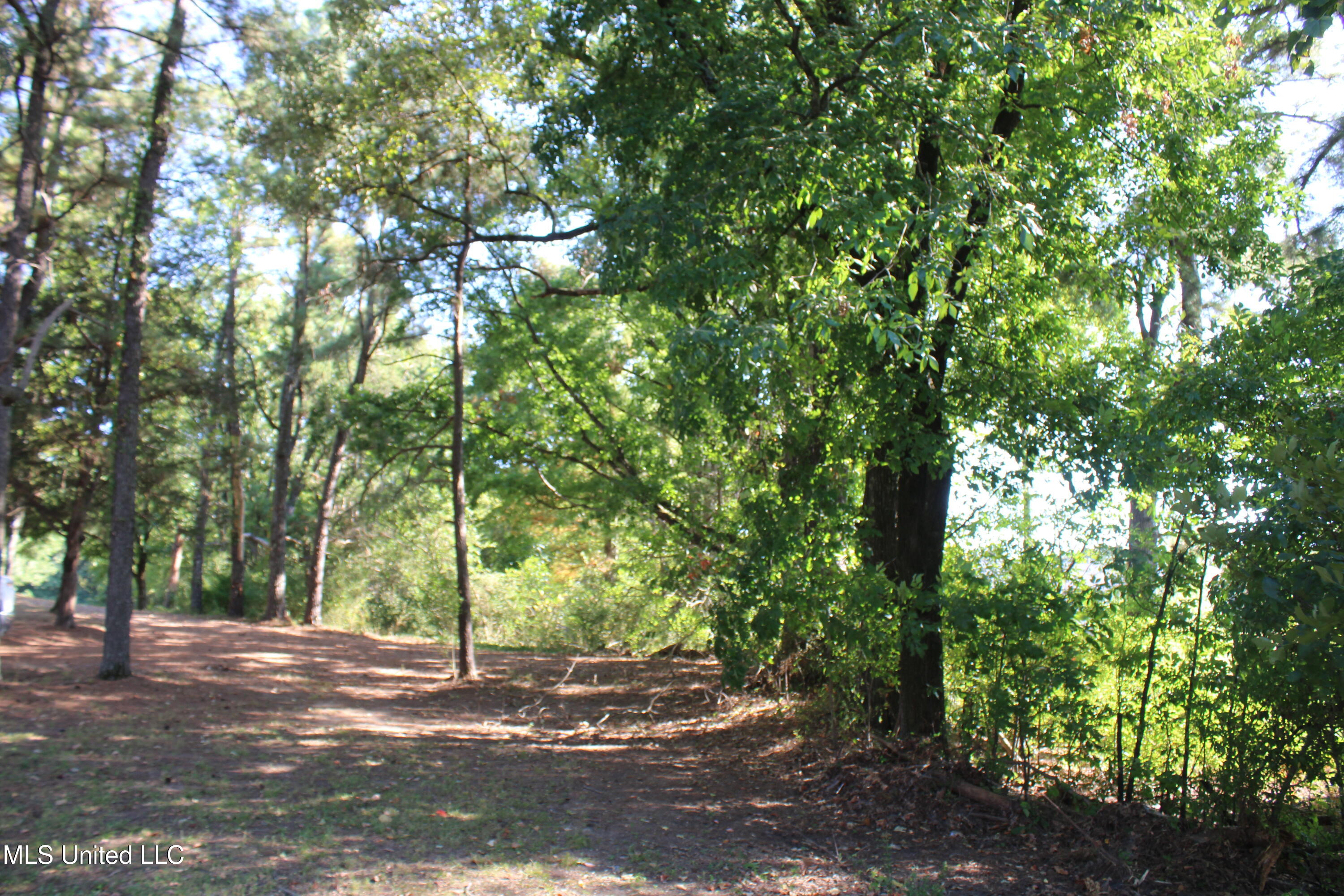 771 Church Road East Southaven, MS 38671 - Photo 5 of 21 IMG_6408