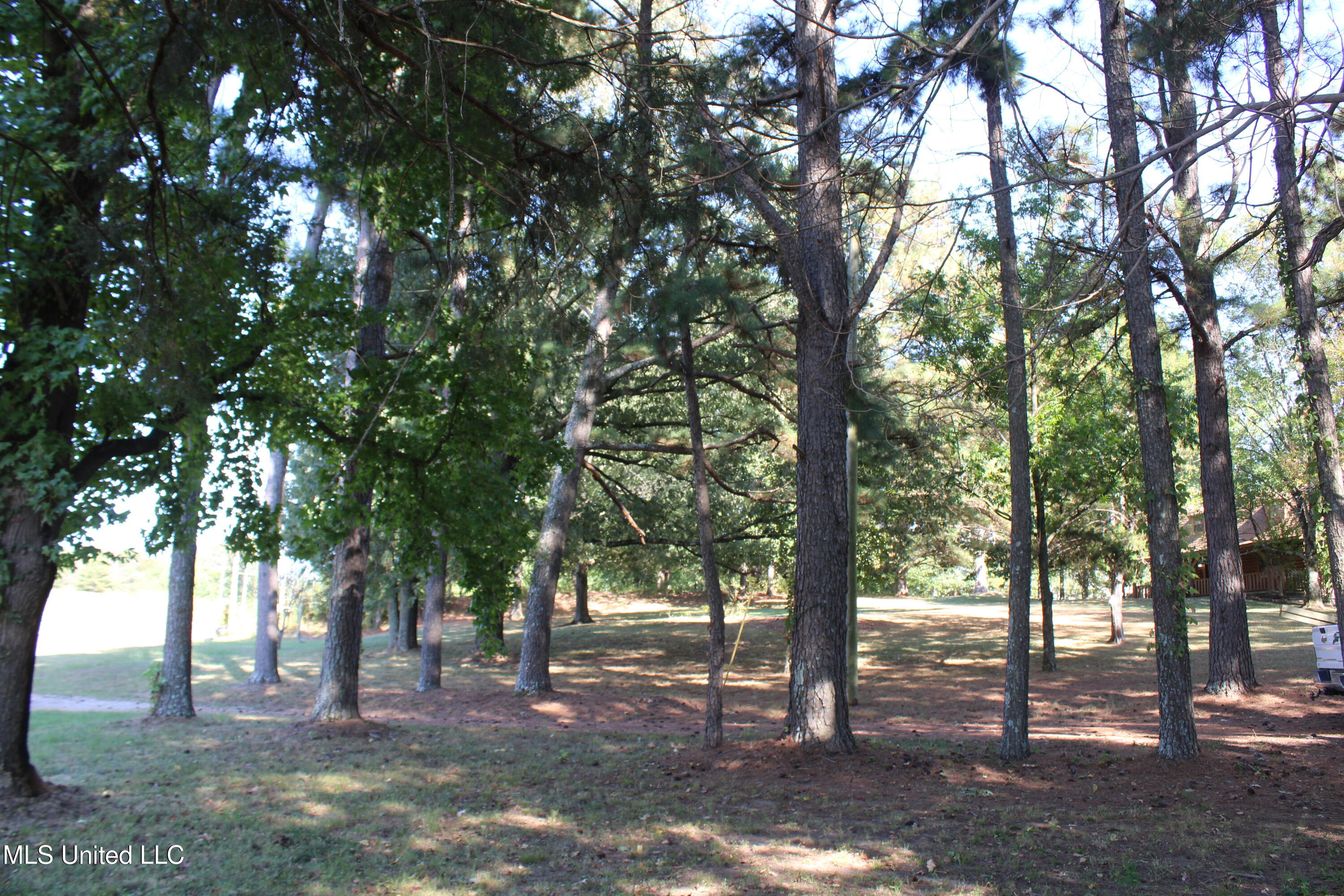 771 Church Road East Southaven, MS 38671 - Photo 6 of 21 IMG_6409