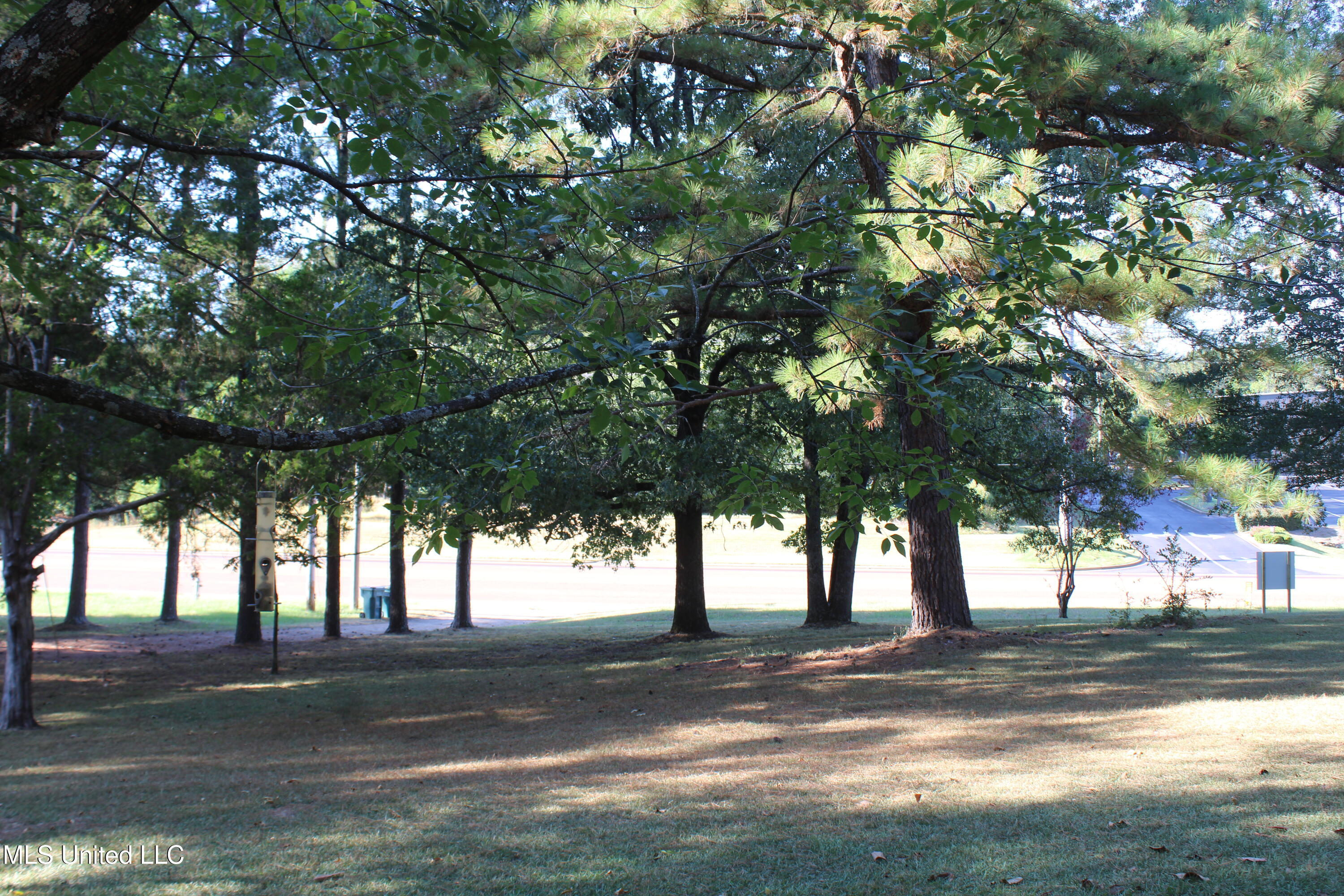 771 Church Road East Southaven, MS 38671 - Photo 8 of 21 IMG_6412