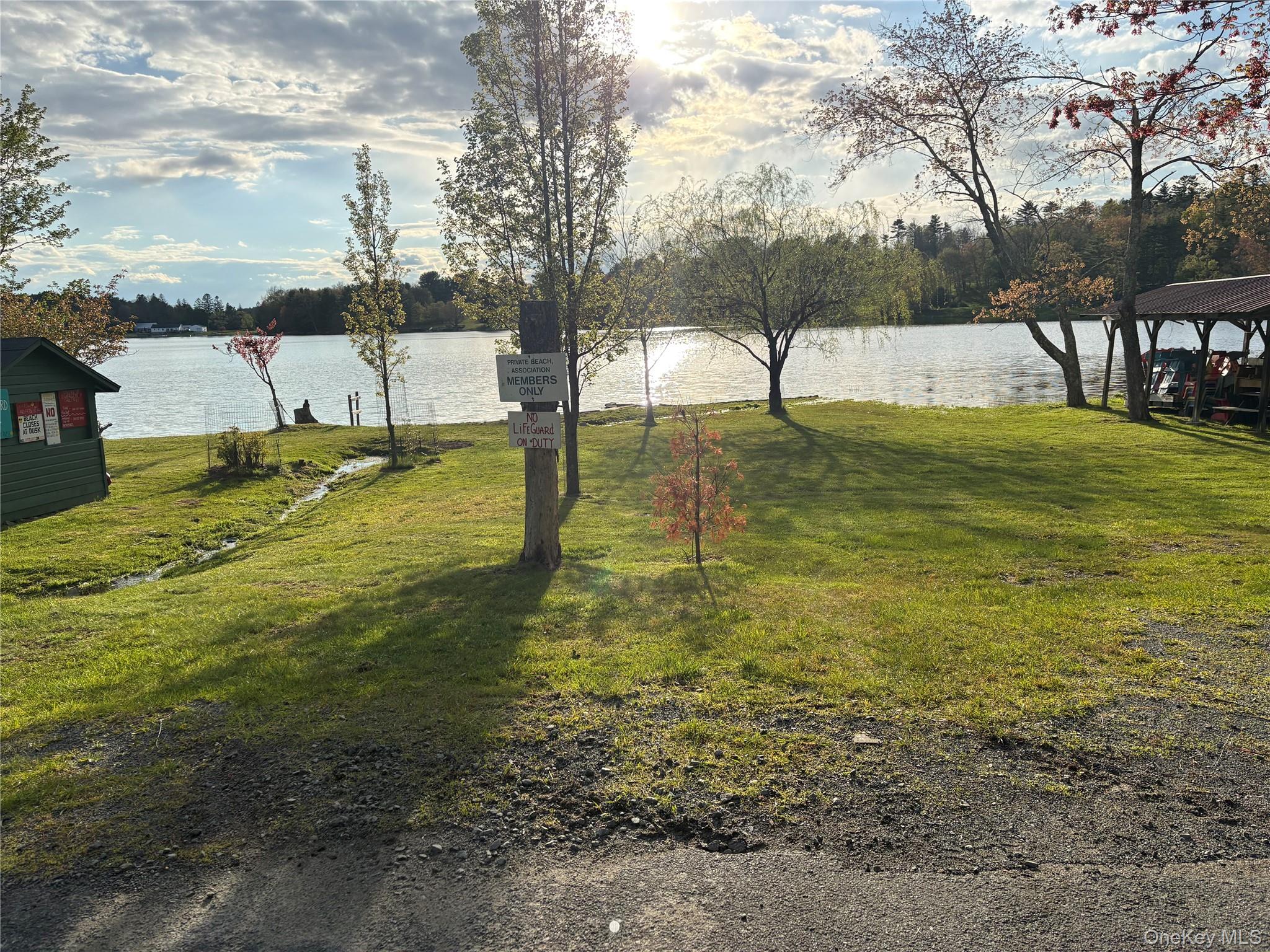 Airport Road Eldred, NY 12732 - Photo 7 of 10 a view of swimming pool with a yard and trees