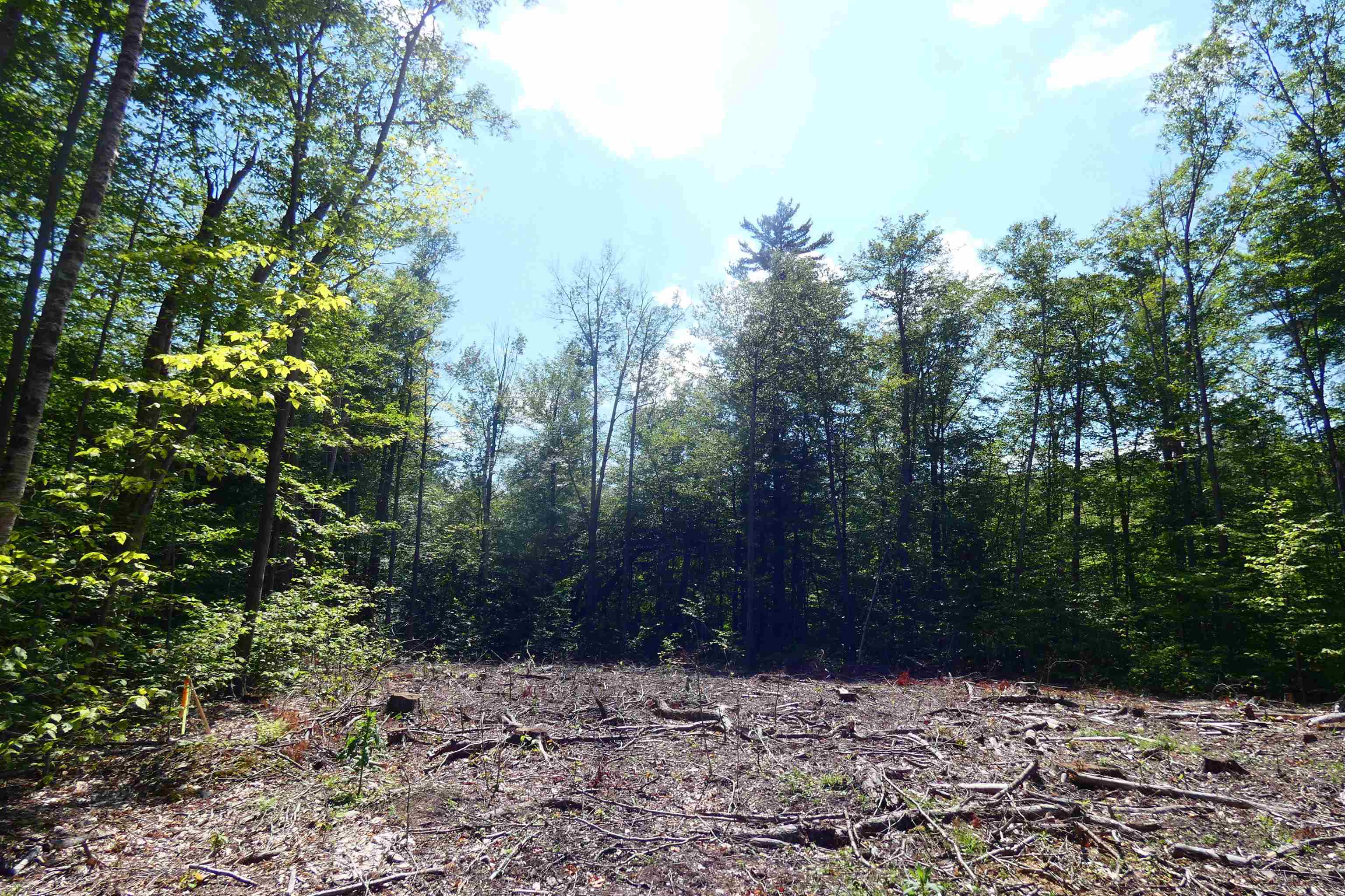 Tbd Lower Plains Road, Unit 3 Salisbury, VT 05769 - Photo 3 of 7
