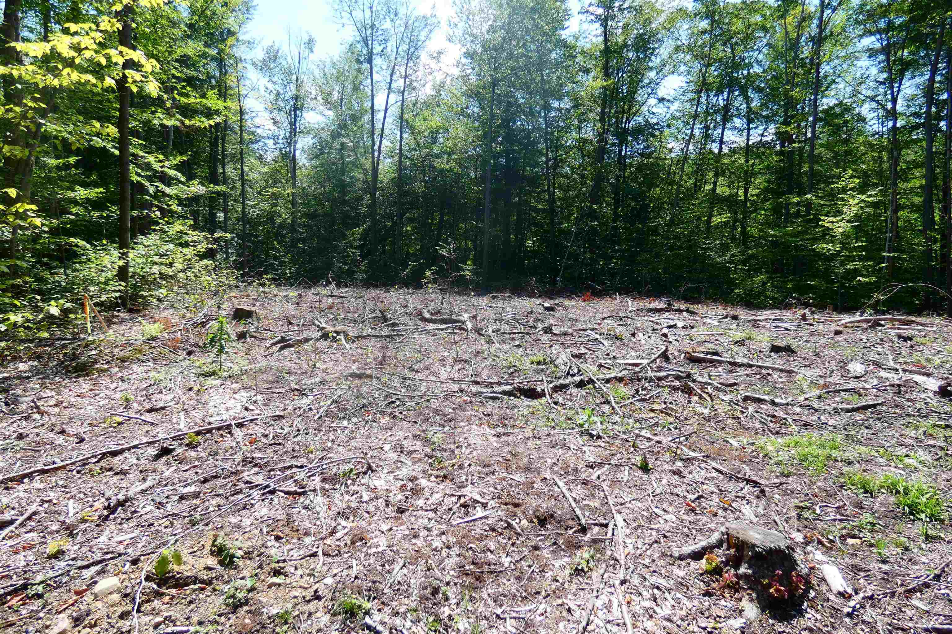 Tbd Lower Plains Road, Unit 3 Salisbury, VT 05769 - Photo 4 of 7