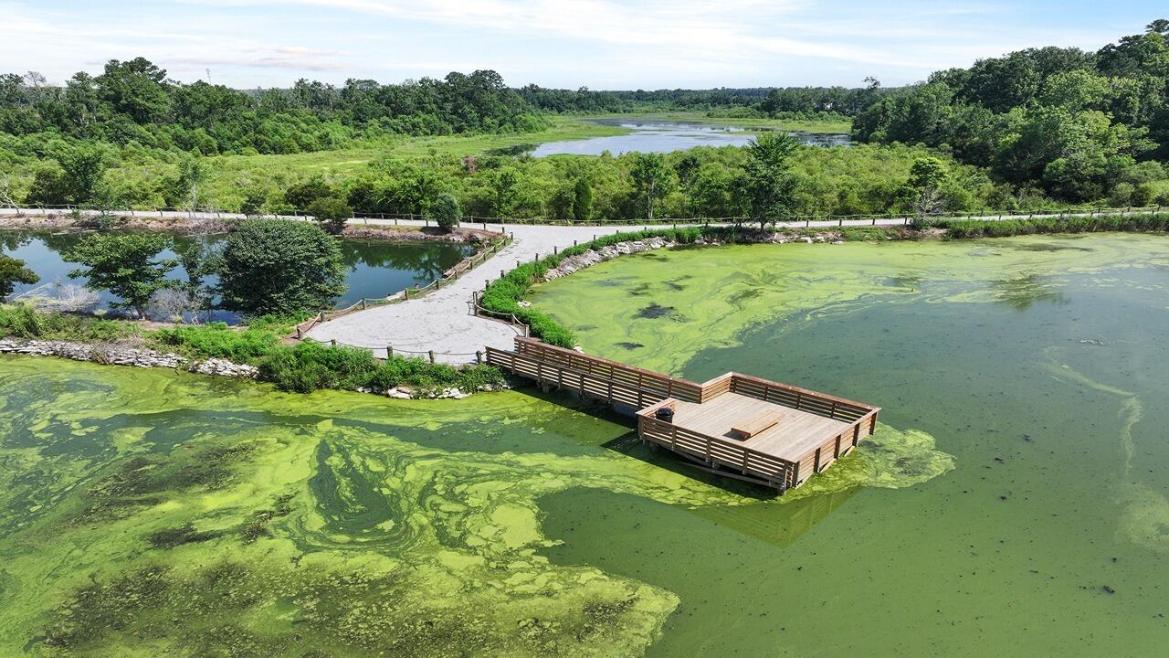 325 Bluebell Way Moncks Corner, SC 29461 - Photo 4 of 46 24_dji_20250625105827_0153_d