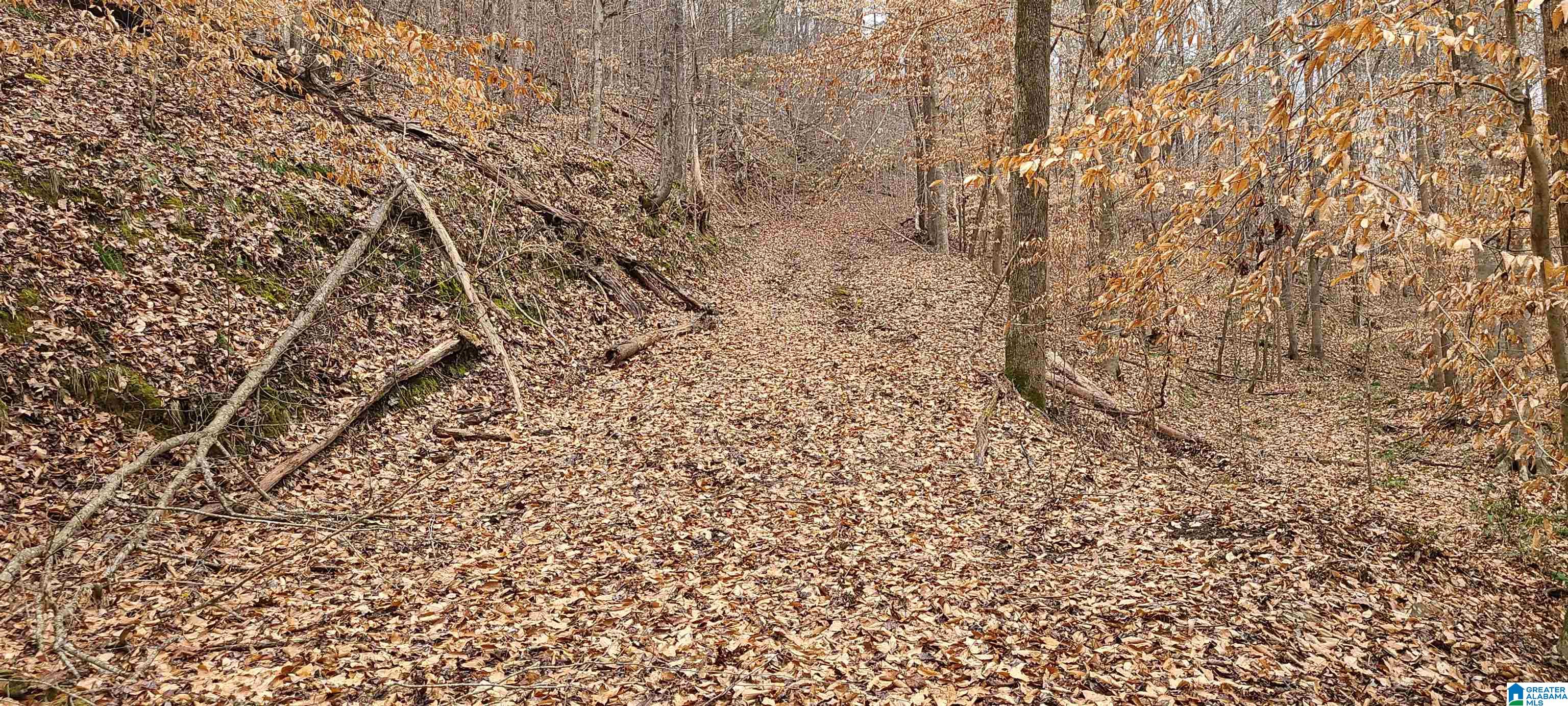 0 Wolf Creek Road Carbon Hill, AL 35549 - Photo 23 of 29