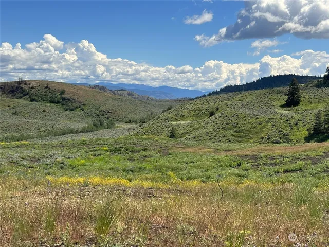 $190,000 | 836-tbd Ellemeham Mountain Road, Loomis, WA 98827