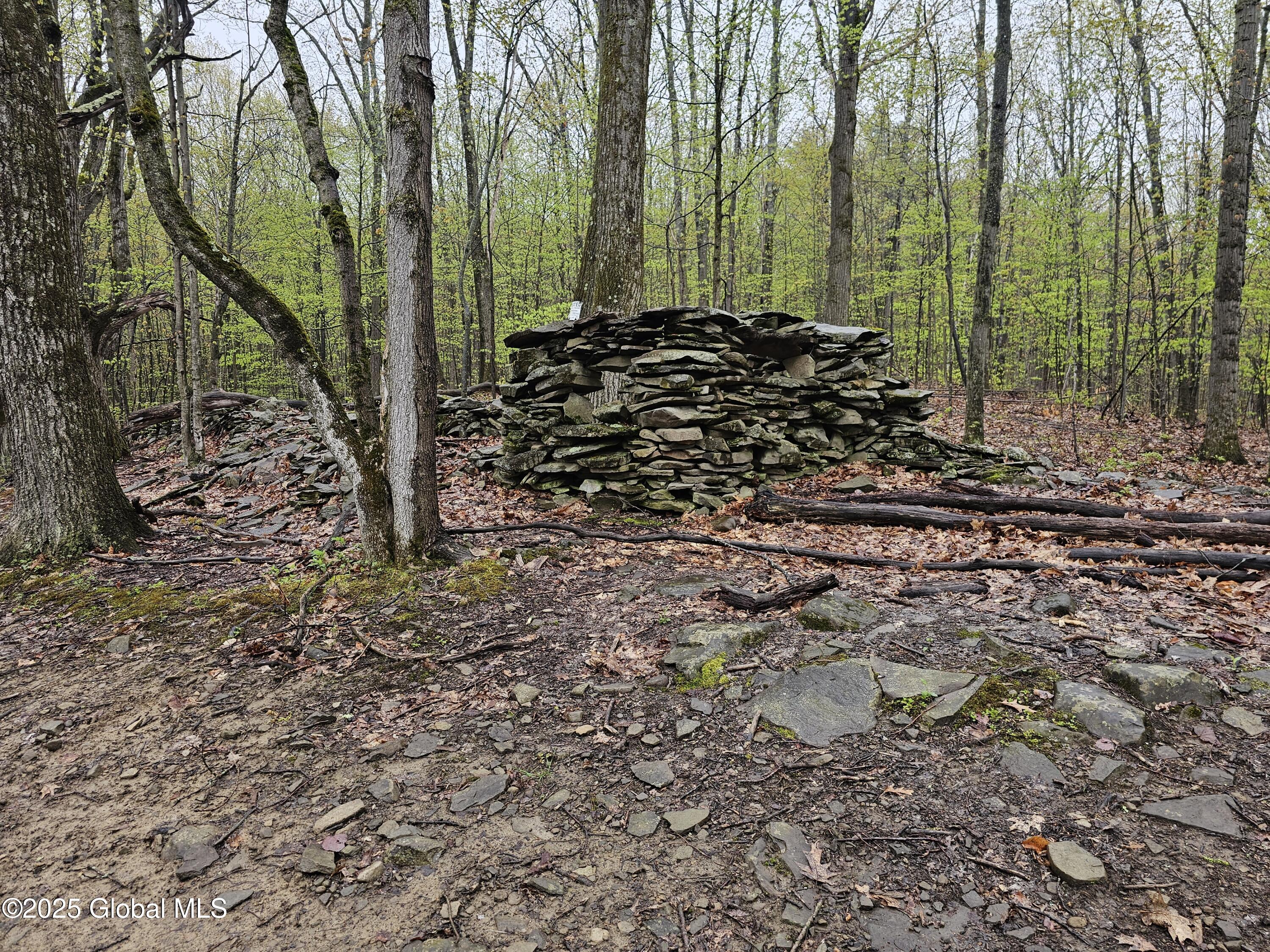 301 Lape Road Charleston, NY 12066 - Photo 25 of 87 20250503_144702