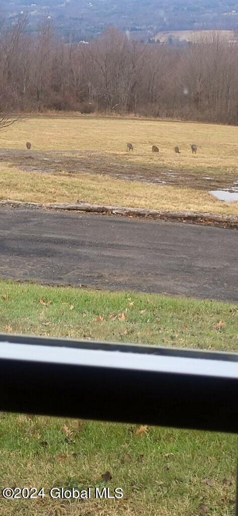 301 Lape Road Charleston, NY 12066 - Photo 58 of 87 imagejpeg_1(2)