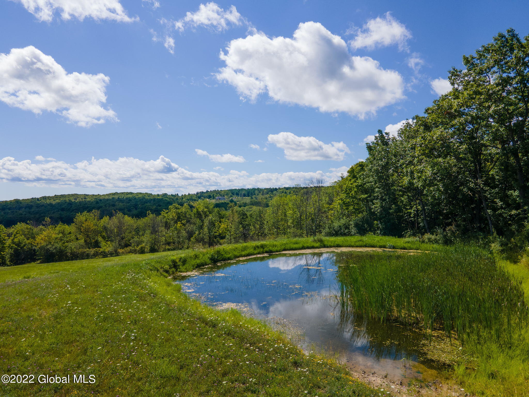 301 Lape Road Charleston, NY 12066 - Photo 7 of 87 lape rd 13
