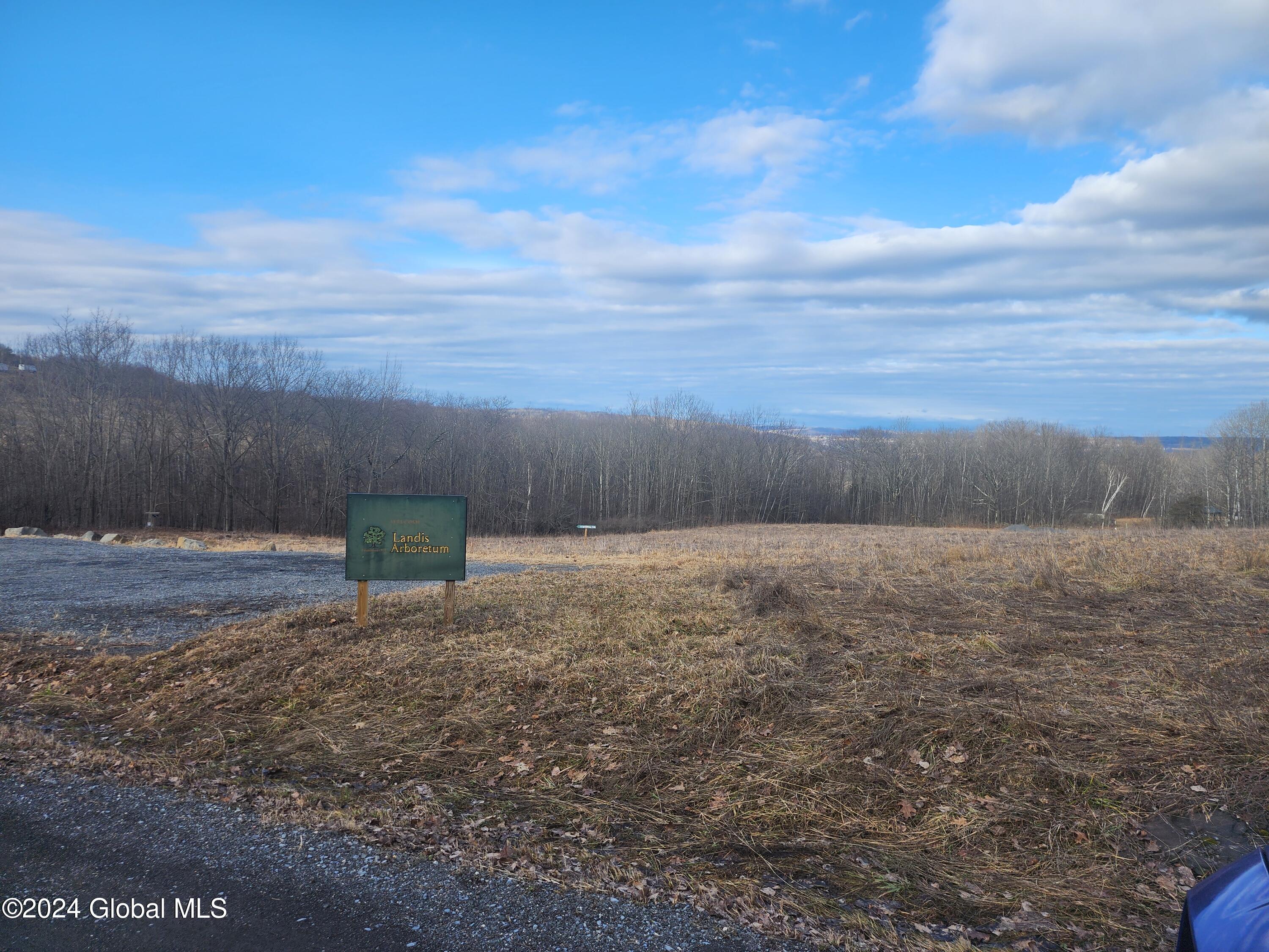 301 Lape Road Charleston, NY 12066 - Photo 71 of 87 20240304_154059