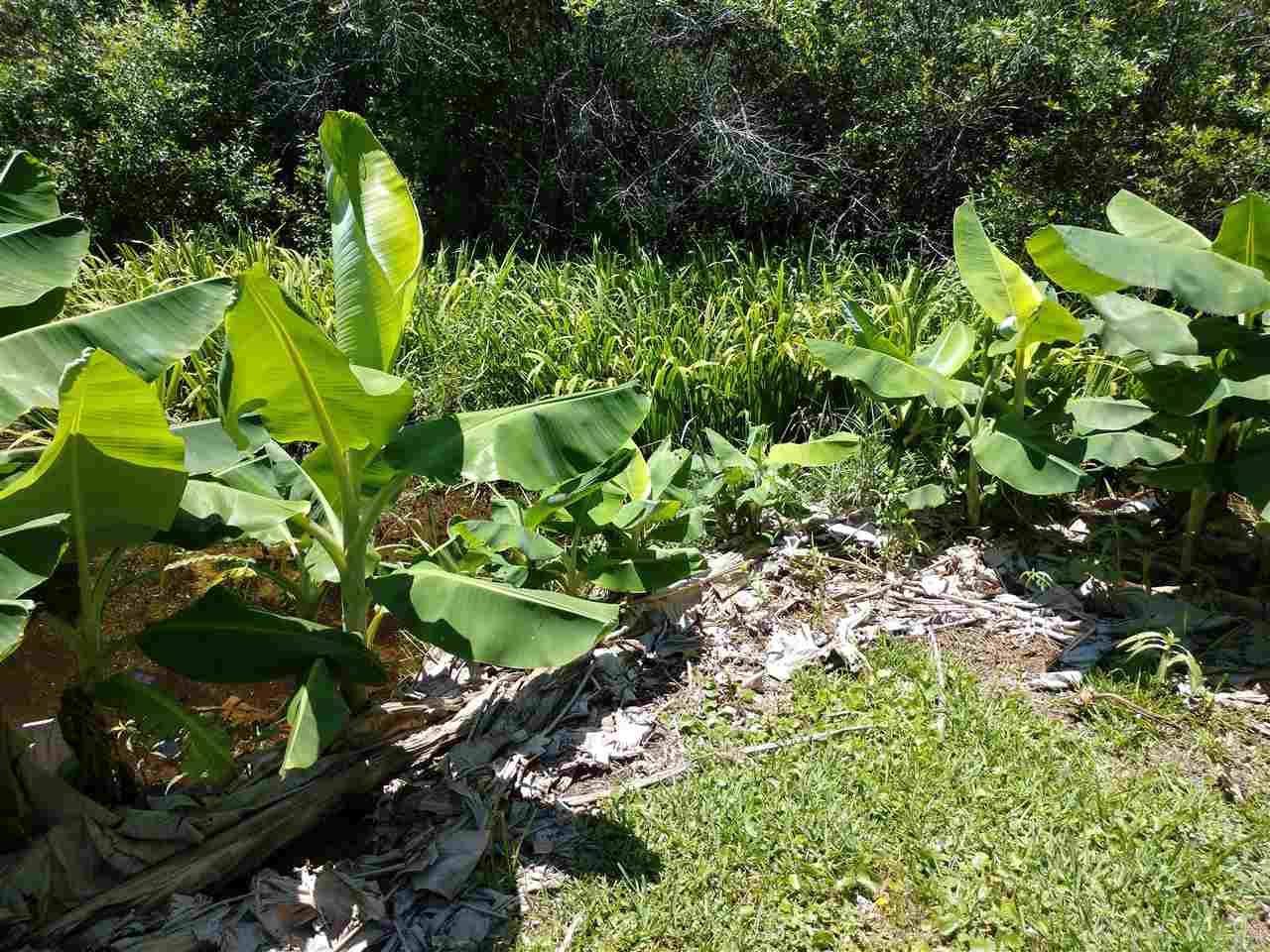 6207 Wyndotte Road Pensacola, FL 32526 - Photo 32 of 44