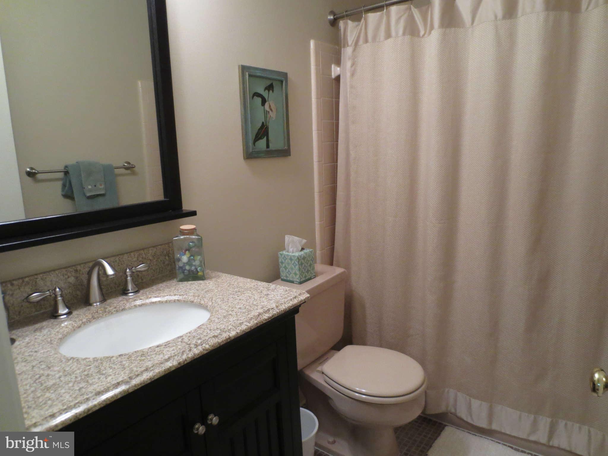 6743 Towne Lane Road McLean, VA 22101 - Photo 14 of 20 Bath