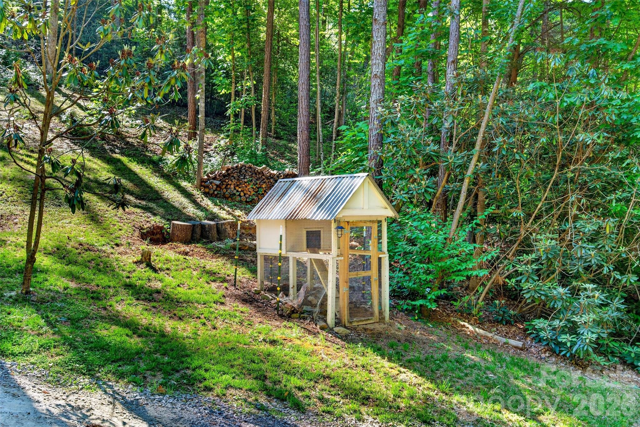 215 David Rdg Road Black Mountain, NC 28711 - Photo 44 of 48