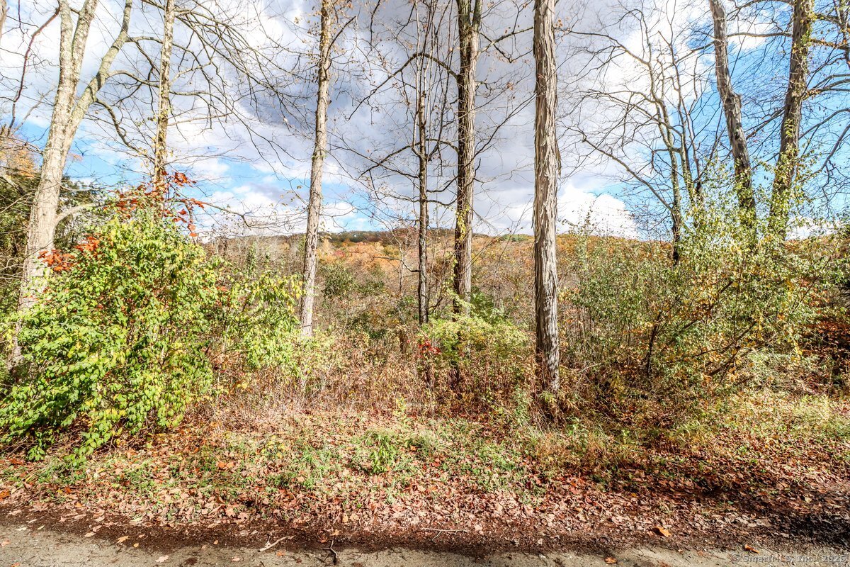 0 Saw Mill Road New Milford, CT 06776 - Photo 2 of 6