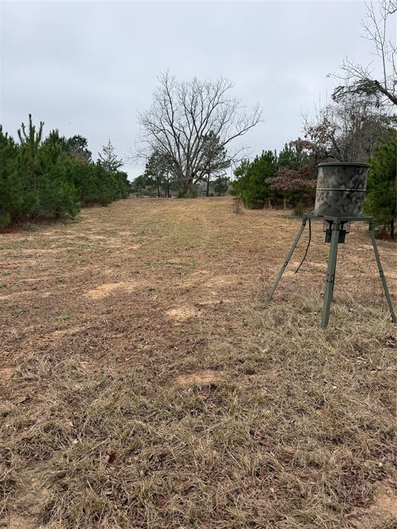 335 Tyler Tx 75708 Tyler, TX 75708 - Photo 2 of 10