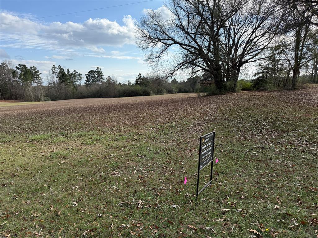 335 Tyler Tx 75708 Tyler, TX 75708 - Photo 3 of 10 a view of outdoor space