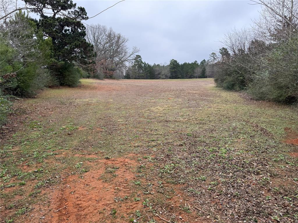 335 Tyler Tx 75708 Tyler, TX 75708 - Photo 4 of 10 a view of an outdoor space and a yard