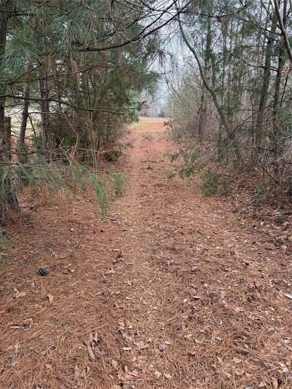 335 Tyler Tx 75708 Tyler, TX 75708 - Photo 6 of 10 a view of a yard with a tree
