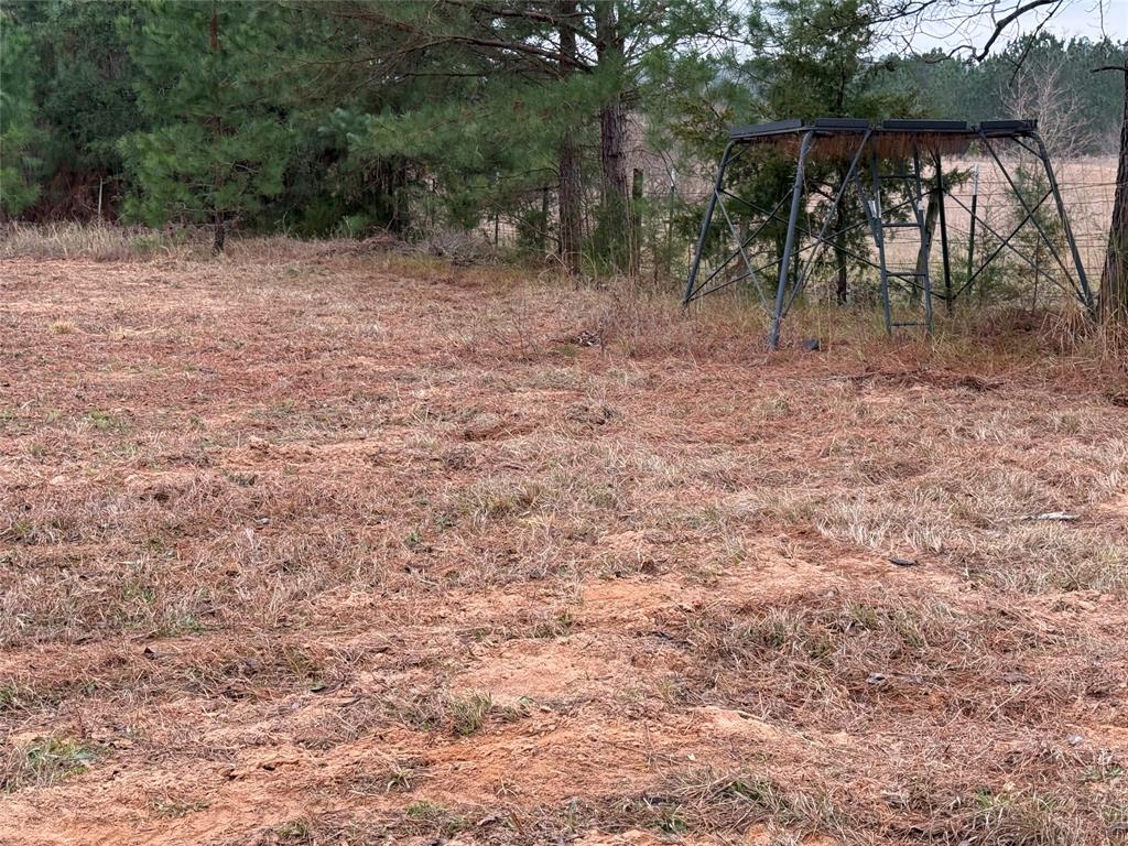 335 Tyler Tx 75708 Tyler, TX 75708 - Photo 7 of 10 a view of backyard with large trees