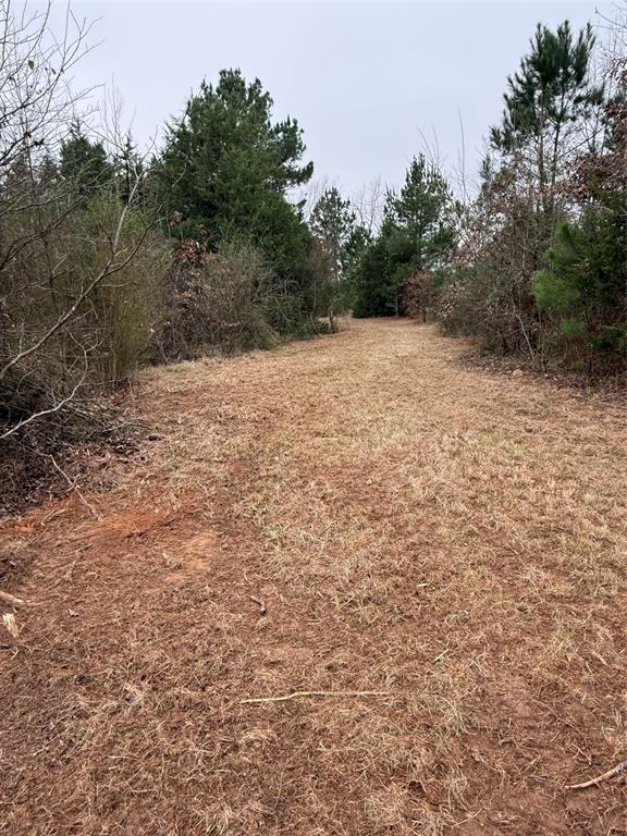 335 Tyler Tx 75708 Tyler, TX 75708 - Photo 8 of 10 a view of a field with trees in the background