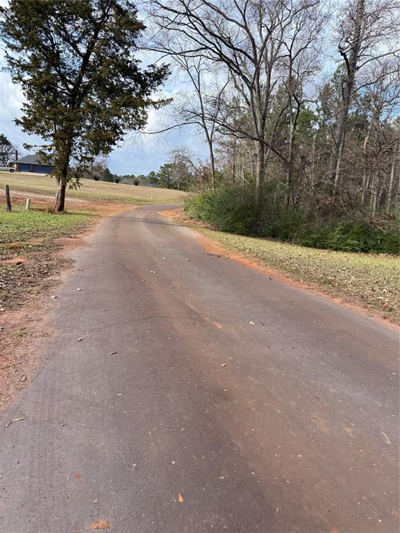 335 Tyler Tx 75708 Tyler, TX 75708 - Photo 9 of 10 a view of dirt yard with large trees