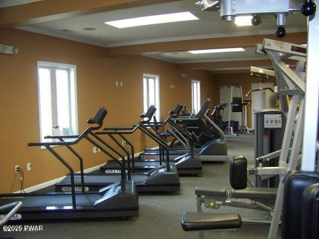 100 Ridgeview Drive Lake Ariel, PA 18436 - Photo 49 of 52 Fitness Center (2)