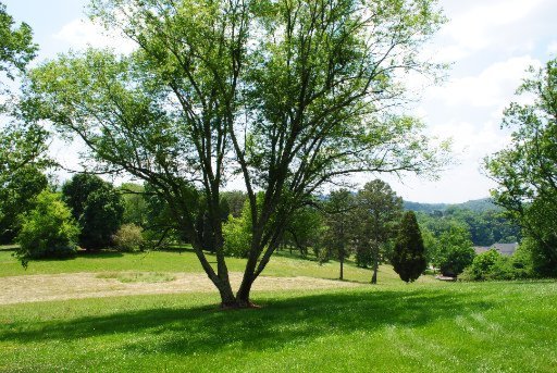 3624 Topside Road Knoxville, TN 37920 - Photo 9 of 10 Additional Photo