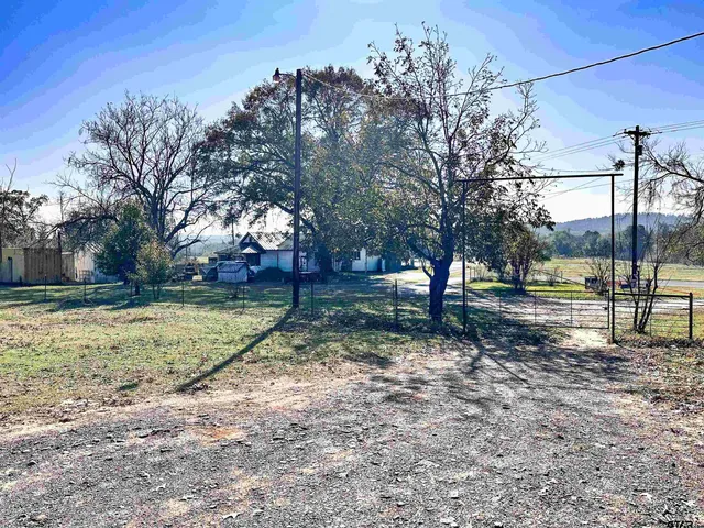 a view of yard with tree