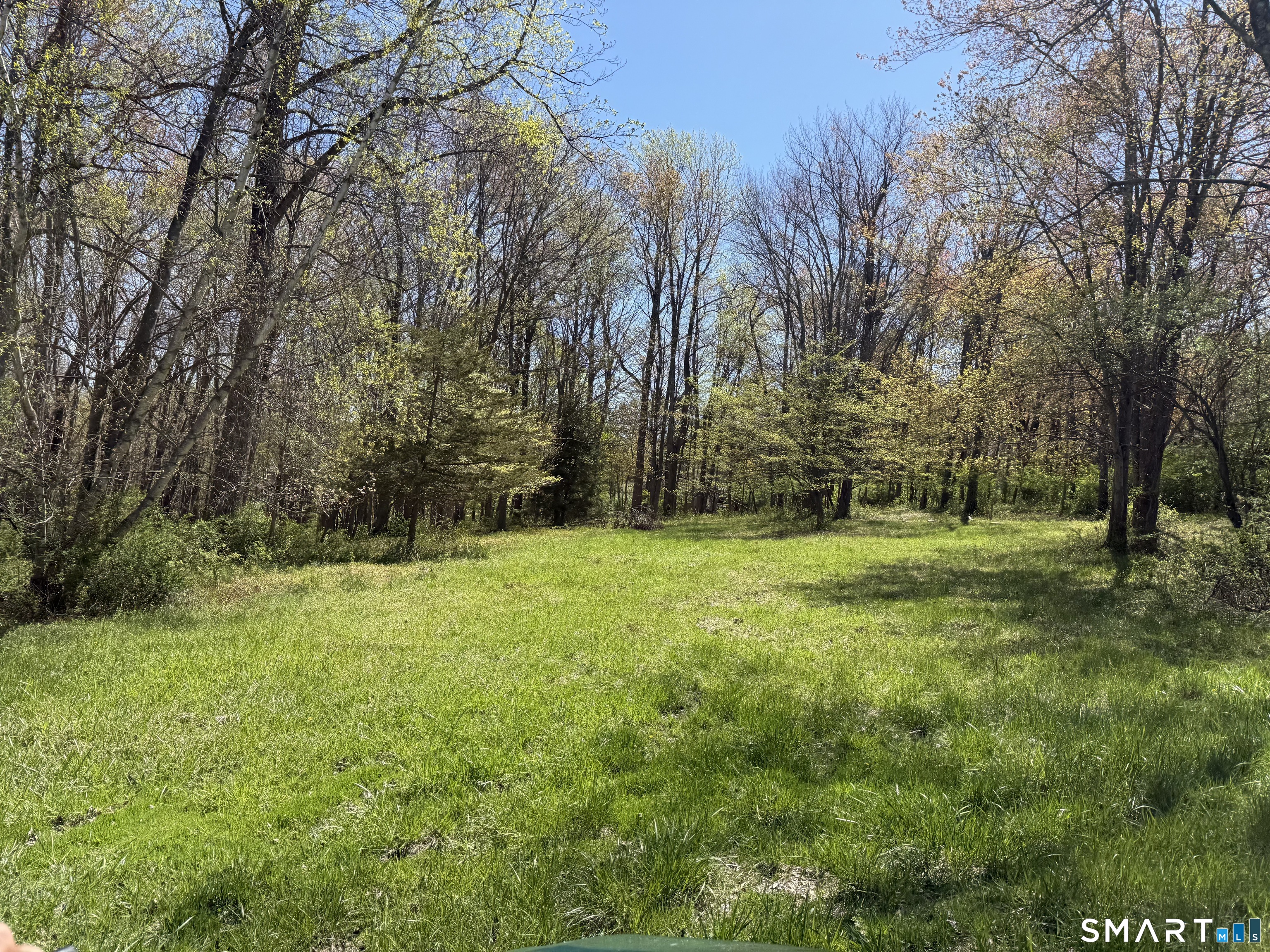 163 Clapboard Ridge Road Danbury, CT 06811 - Photo 1 of 17 a view of a yard with a tree