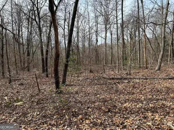 $1,100,000 | 0 Highway 105, Baldwin, GA 30511