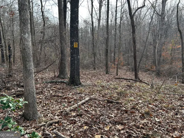 $1,100,000 | 0 Highway 105, Baldwin, GA 30511