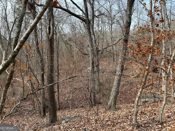 $1,100,000 | 0 Highway 105, Baldwin, GA 30511