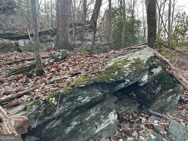 $1,100,000 | 0 Highway 105, Baldwin, GA 30511