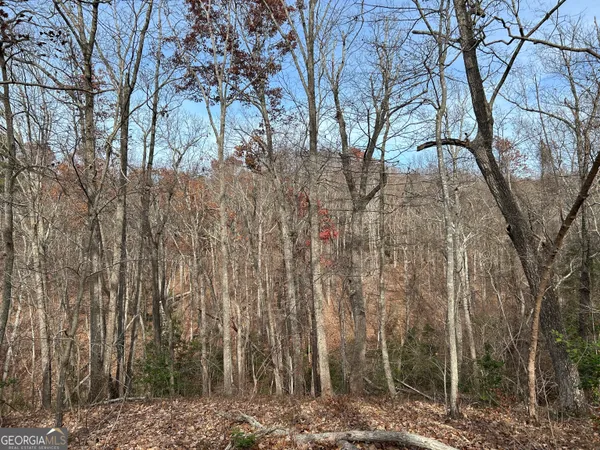 $1,100,000 | 0 Highway 105, Baldwin, GA 30511
