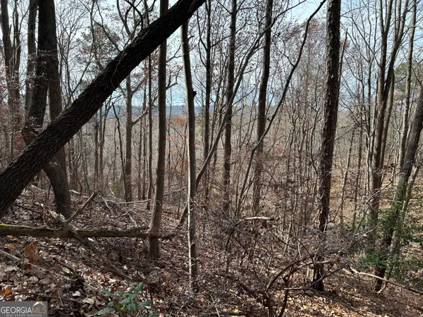 $1,100,000 | 0 Highway 105, Baldwin, GA 30511