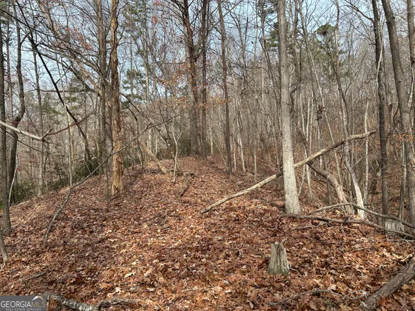 $1,100,000 | 0 Highway 105, Baldwin, GA 30511